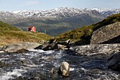 Landscape at Roldalsfjellet near Roldal, Hardangervidda, Hordaland, Norway, Scandinavia, Europe