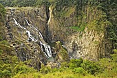 Barron Falls, Kuranda, Queensland, Australia, Pacific