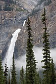Takakkaw Falls, Yoho National Park, UNESCO World Heritage Site, British Columbia, Rocky Mountains, Canada, North America