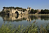 Pont Saint-Benezet and Avignon city viewed from across the River Rhone, Avignon, Provence, France, Europe