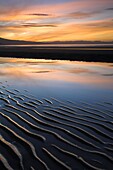 Sunset and sand ripples on Pohara Beach in Golden Bay, South Island, New Zealand, Pacific