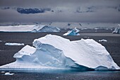 Magnificent icebergs in a cloud filled Antarctic Peninsula, Antarctica, Polar Regions