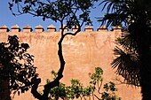 Garden of the Chorron, Real Alcazar, Seville, Andalucia, Spain, Europe