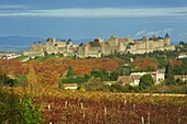 Medieval city of Carcassonne, UNESCO World Heritage Site, Aude, Languedoc-Roussillon, France, Europe