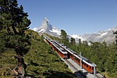 Gornergrat Railway in front of the Matterhorn, Riffelberg, Zermatt, Valais, Swiss Alps, Switzerland, Europe