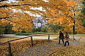 Autumn at Schlossberg, Schwabentor, Freiburg, Baden-Wurttemberg, Germany, Europe