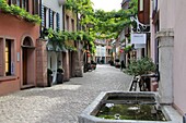 Konvikstravue, Old Town, Freiburg, Baden-Wurttemberg, Germany, Europe