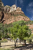 Zion National Park, Utah, United States of America, North America