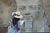 Tourist studying a statue of the pharaoh Ramesses II, Temple of Luxor, Luxor, Thebes, UNESCO World Heritage Site, Egypt, North Africa, Africa