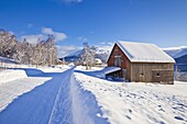 Snow covered road, barn and chalets in Norwegian village of Laukslett, Troms, North Norway, Scandinavia, Europe