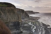 Dramatic cliffs along the Glamorgan Heritage Coast, Wales, United Kingdom, Europe