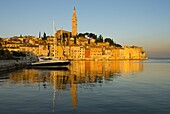 Old Town and St. Euphemia's Church at sunrise, Rovinj, Istria, Croatia, Adriatic, Europe