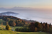 Mist over the Ljubljana Basin at sunrise in autumn, Central Slovenia, Slovenia, Europe