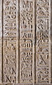 Hieroglyphic relief inside the Temple of Horus, Edfu, Egypt, North Africa, Africa
