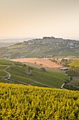 Dawn light starts to fill the skies above the village and vineyards of Sanerre, Cher, Loire Valley, Centre, France, Europe