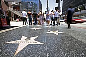 Walk of Fame, Hollywood Boulevard, Los Angeles, California, United States of America, North America