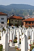 Kovaci War Cemetery, Sarajevo, Bosnia and Herzegovina, Europe