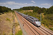 A TGV train speeds through the French countryside near to Tours, Indre-et-Loire, Centre, France, Europe