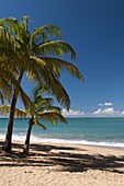 La Perle Beach, Deshaies, Basse-Terre, Guadeloupe, French Caribbean, France, West Indies, Central America