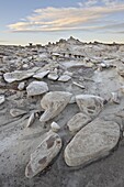 Rocks in the badlands at sunrise, Bisti Wilderness, New Mexico, United States of America, North America
