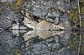 Arrowhead reflection in the rock-clif shore of Horseshoe Lake, Jasper National Park, UNESCO World Heritage Site, Alberta, Canada, North America