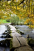 Tarr Steps clapper bridge in autumn, Exmoor National Park, Somerset, England, United Kingdom, Europe