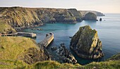 Mullion Cove and harbour from the clifftops, Cornwall, England, United Kingdom, Europe