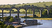 Railway Viaduct spanning the River Tiddy near the Cornish village of St. Germans, Cornwall, England, United Kingdom, Europe