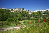 Manerbes, Petit Luberon, Provence, France, Europe