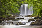 Sgwd yr Eira Waterfall, Brecon Beacons, Wales, United Kingdom, Europe