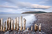 Wooden groyne sea defences on Porlock Beach, Exmoor National Park, Somerset, England, United Kingdom, Europe