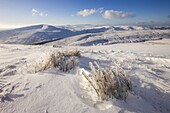 Snow covered slopes of Pen-y-Fan mountain in the Brecon Beacons National Park, Powys, Wales, United Kingdom, Europe