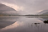 Mist over Loch Voil at dawn in autumn, The Trossachs, Scotland, United Kingdom, Europe
