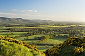 View of the Cleveland Hills from above Cliff Ridge Wood, Great Ayton, North Yorkshire, Yorkshire, England, United Kingdom, Europe