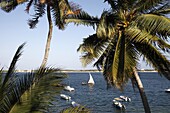 View from the Peponi hotel, Shela, Lamu Island, Kenya, East Africa, Indian Ocean, Africa