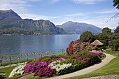 Gardens of Villa Melzi, Bellagio, Lake Como, Lombardy, Italian Lakes, Italy, Europe