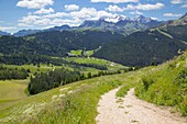 View from Col Alto, Corvara, Badia Valley, Bolzano Province, Trentino-Alto Adige/South Tyrol, Italian Dolomites, Italy, Europe