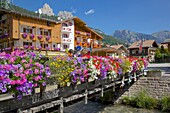 Bridge and flowers, Pozza di Fassa, Fassa Valley, Trento Province, Trentino-Alto Adige/South Tyrol, Italian Dolomites, Italy, Europe