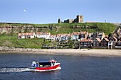 Fishing boat entering the harbour below Whitby Abbey, Whitby, North Yorkshire, Yorkshire, England, United Kingdom, Europe