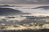 Mist covered Lake District countryside at dawn, Cumbria, England, United Kingdom, Europe