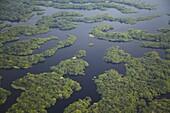 Aerial view of Amazon rainforest and tributary of the Rio Negro, Manaus, Amazonas, Brazil, South America