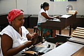 Women making cigars at the Dannemann factory in Sao Felix, Bahia, Brazil, South America