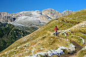 Woman hiking with Rosengarten range in background, Friedrich-August-Weg, Langkofel group, Dolomites, UNESCO World Heritage Dolomites, Trentino, Italy