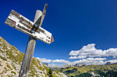 Wegweiser aus Holz deutet auf Sellagruppe, Ferrata Gadotti, Vallacciagruppe, Marmolada, Dolomiten, UNESCO Weltnaturerbe Dolomiten, Trentino, Italien