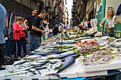 Fischmarkt in der Altstadt, Fischstand, Pescheria Alberto, Strassenverkauf, Via Pasquale Scura, frische Fische, Neapel, Napoli, Italien