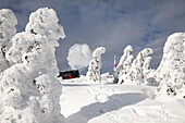 snow covered trees, winter, narrow gauge railway, steam engine, Harz Mountains, National Park, Lower Saxony, Germany