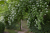 Garden gate near Bruetzkow, Mecklenburg Western Pomerania, Germany