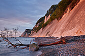 Kreideküste auf der Insel Mön, Dänemark