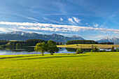 View over Forggensee to Tegelberg, Saeuling and Tannheimer Berge, Allgaeu, Bavaria, Germany