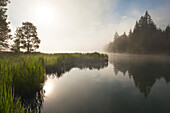 Fog at Geroldsee, view to Karwendel, Werdenfels region, Bavaria, Germany